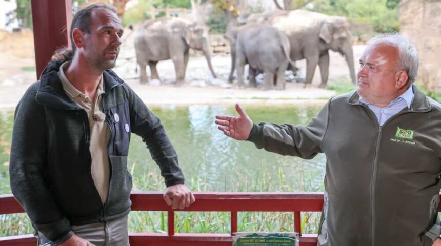 Tierpfleger Zoo Leipzig Tod Tragische Verluste und Ehrungen im Fokus