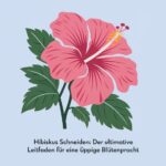 Hibiskus schneiden Der ultimative Leitfaden für eine üppige Blütenpracht